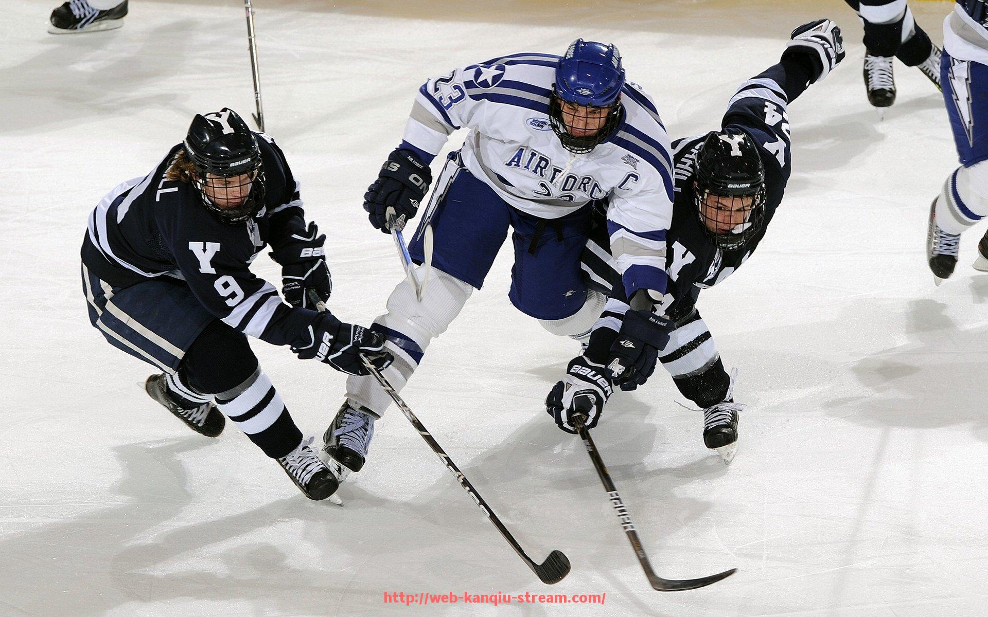 看球直播-洛阳CBA球员培养基地及优秀球员介绍